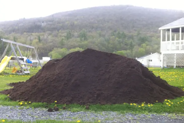 What Does 20 Yards Of Dirt Look Like